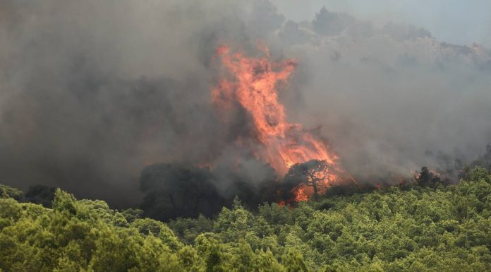 ΕΚΤΑΚΤΟ- Πυρκαγιά στο πευκοδάσος του Θεολόγου Φθιώτιδας