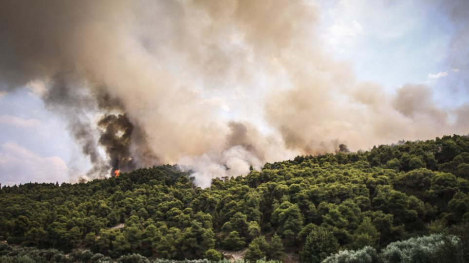 Πυρκαγιά στην περιοχή Σταμνά Αιτωλοακαρνανίας