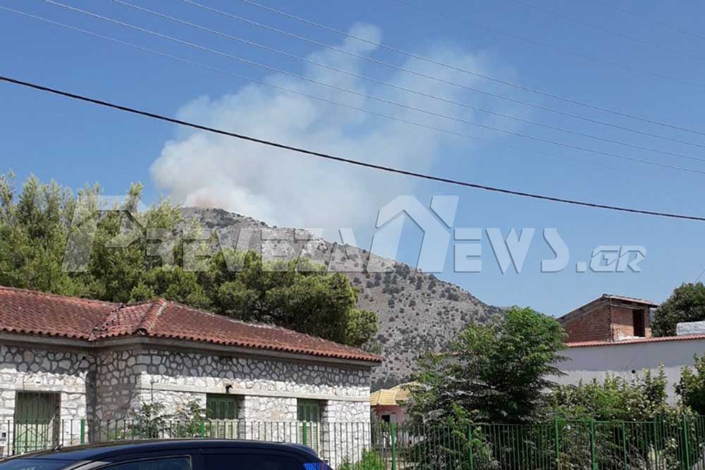 Συμβαίνει τώρα: Πυρκαγιά στο Σκεπαστό Πρέβεζας