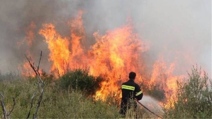 Πυρκαγιά εν ύπαιθρω στης Αχαρνές Αττικής