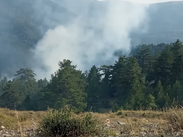 Πυρκαγιά έκαψε δασική έκταση στην Αετιά Γρεβενών (εικόνες)