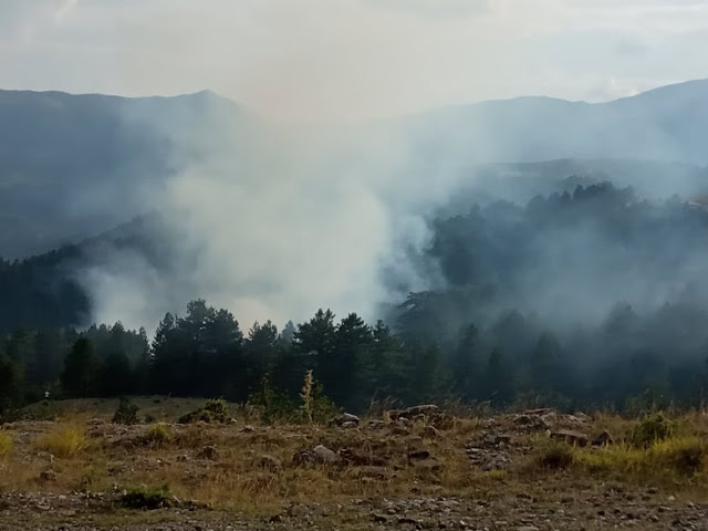Πυρκαγιά έκαψε δασική έκταση στην Αετιά Γρεβενών (εικόνες)