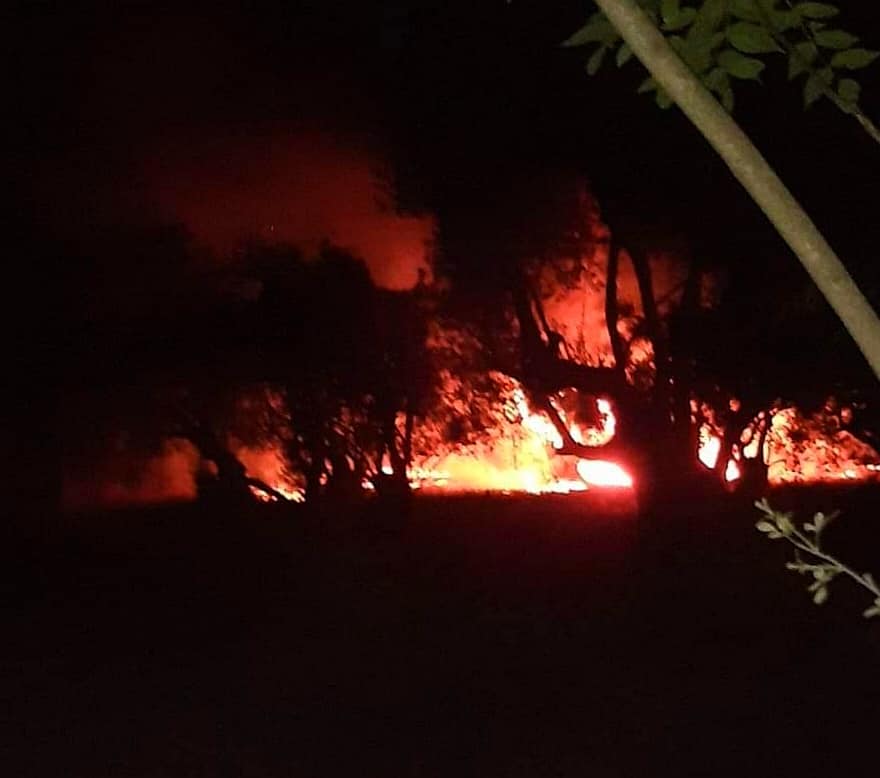 Πυρκαγιά χτες το βράδυ στη Μόρια