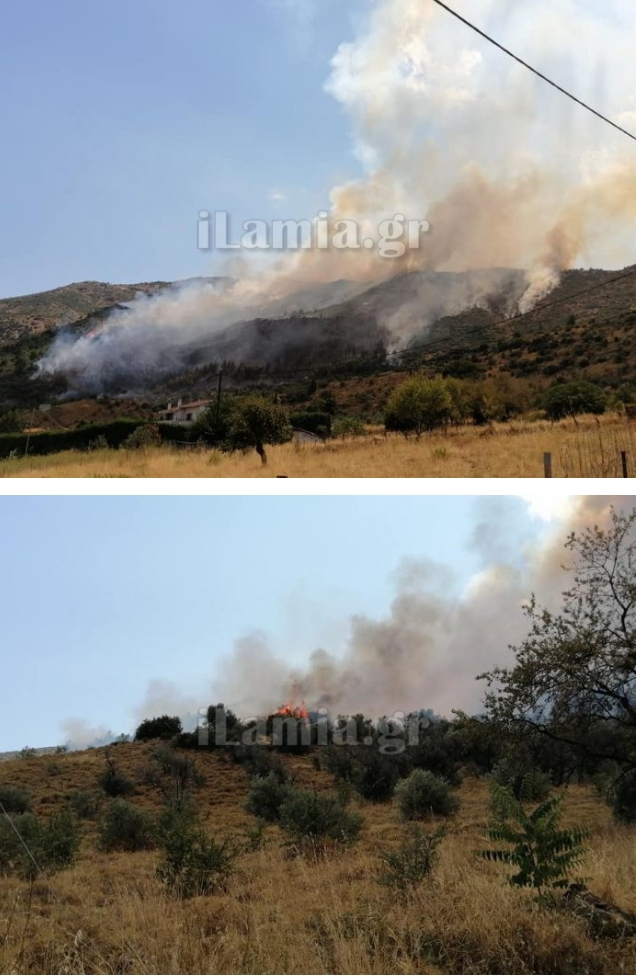 Πυρκαγιά σε εξέλιξη σε δασική έκταση στην Φθιώτιδα.