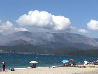 Πυρκαγιά σε εξέλιξη στη Λακωνία