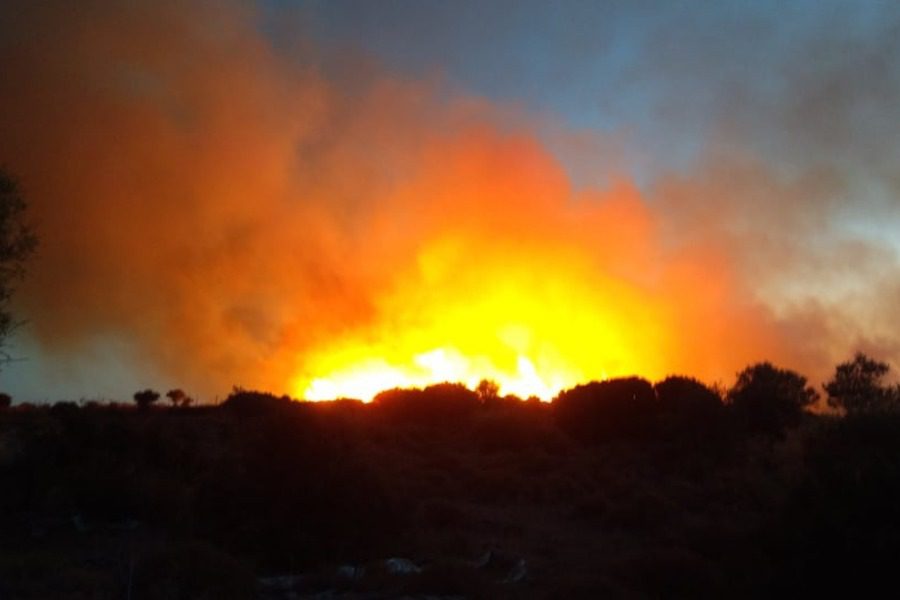 Πυρκαγιά στη Μόρια Λέσβου καίει ελαιόδεντρα