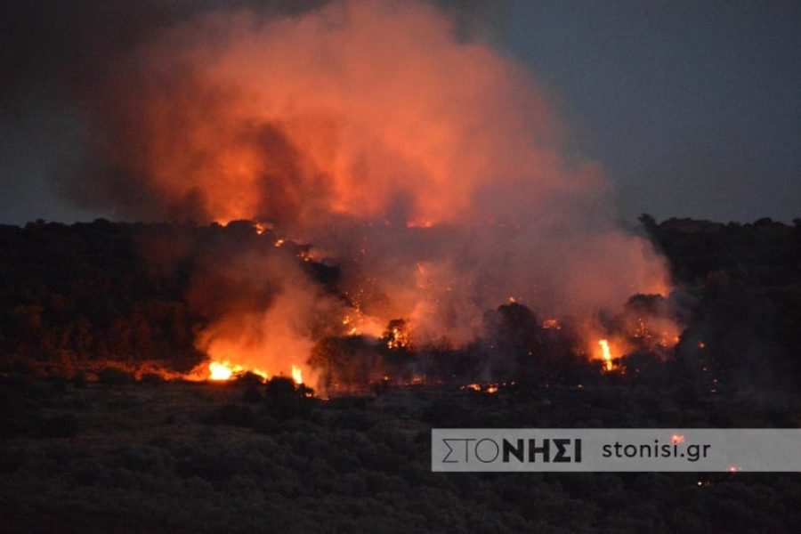 Πυρκαγιά στη Μόρια Λέσβου καίει ελαιόδεντρα