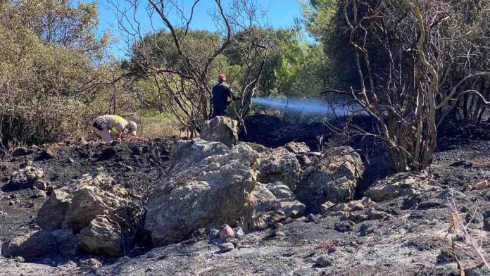 Η 3η φωτιά της ημέρας. Στον “Συναπιά” αυτή τη φορά (Λειβαθώ) φωτο. Η 3η φωτιά της ημέρας. Στον “Συναπιά” αυτή τη φορά (Λειβαθώ) φωτο.