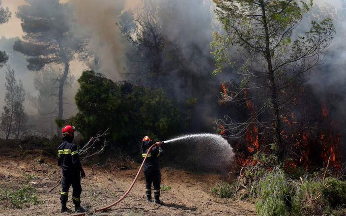 65 Δασικές πυρκαγιές εκδηλώθηκαν σε όλη την χώρα
