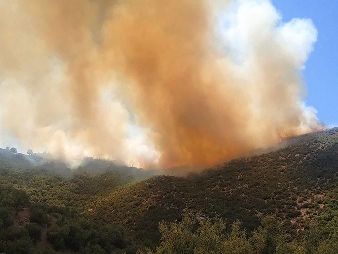 Ανεξέλεγκτη η πυρκαγιά στην Άλασσα – Στη μάχη και τα εναέρια μέσα