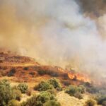 53 Δασικές πυρκαγιές εκδηλώθηκαν σε όλη την χώρα