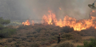 26 Δασικές πυρκαγιές εκδηλώθηκαν σε όλη την χώρα