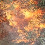 Δασική πυρκαγιά στο Αράκυνθο Αιτωλοακαρνανίας