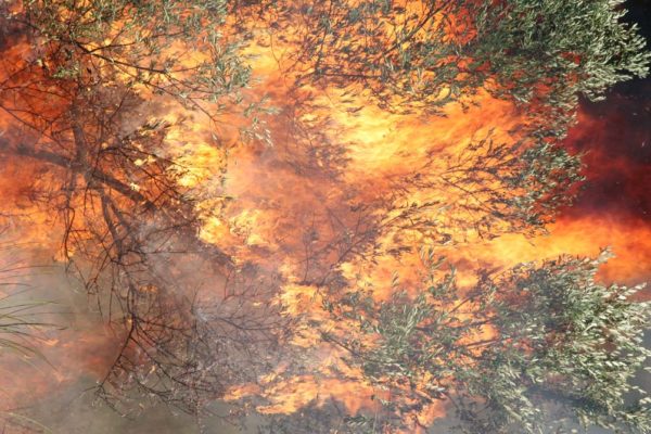 Δασική πυρκαγιά στο Αράκυνθο Αιτωλοακαρνανίας