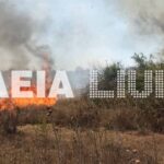 Κούμανι: Πυρκαγιά σε δασική έκταση
