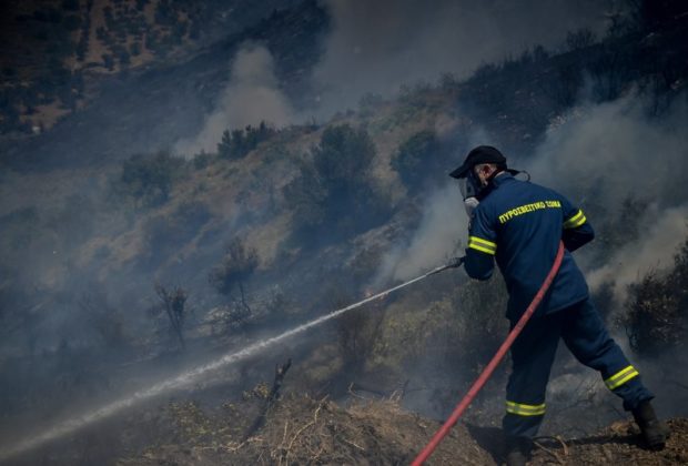 Πυρκαγιά μικρής έκτασης, σε χαμηλή βλάστηση στην Θεσσαλονίκη Πυρκαγιά μικρής έκτασης, σε χαμηλή βλάστηση στην Θεσσαλονίκη
