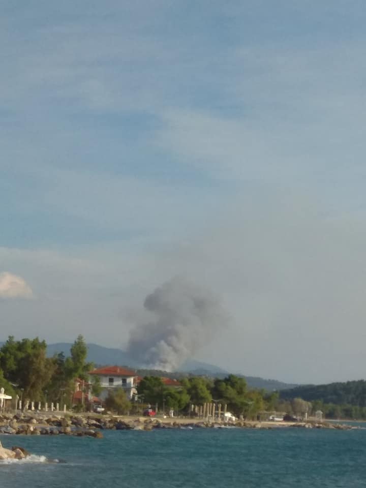 Πυρκαγιά σε δασική έκταση στην περιοχή της Σιθωνίας στη Χαλκιδική