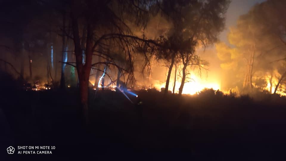 Χαλκιδική: Σε εξέλιξη πυρκαγιά σε δασική περιοχή στη Σιθωνία – Θα είναι μακρύ το βράδυ στη μάχη με τις φλόγες