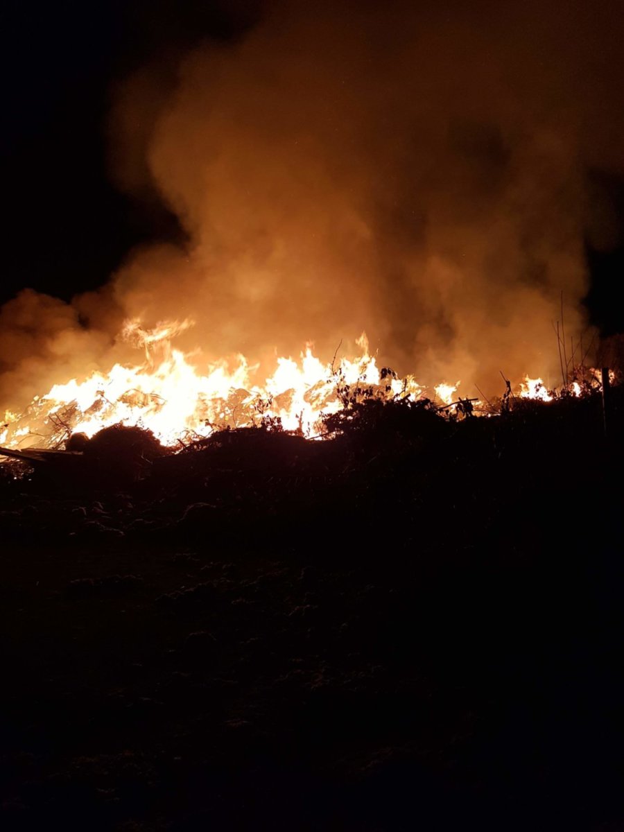 Πυρκαγιά στα Μεσάγγαλα