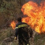 Πυροσβεστική: 34 δασικές πυρκαγιές εκδηλώθηκαν το τελευταίο 24ωρο