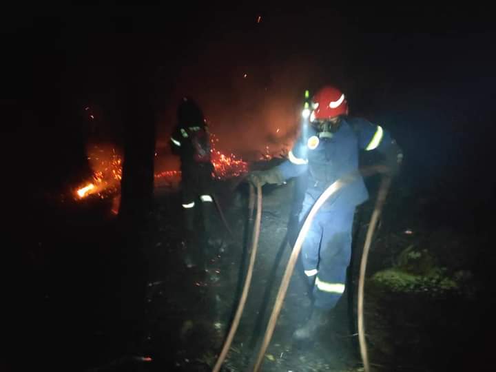 Φωτογραφικό υλικό από την πυρκαγιά στην Χαλκιδική