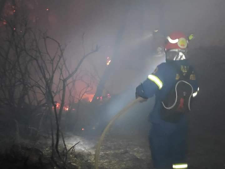Φωτογραφικό υλικό από την πυρκαγιά στην Χαλκιδική
