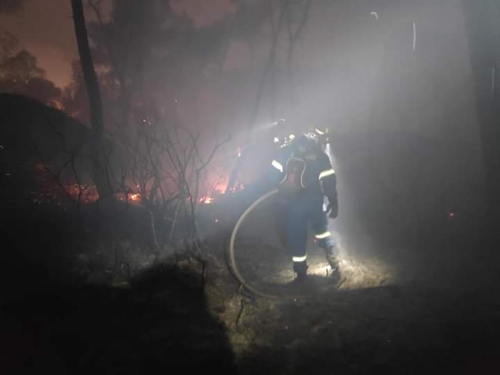 Φωτογραφικό υλικό από την πυρκαγιά στην Χαλκιδική