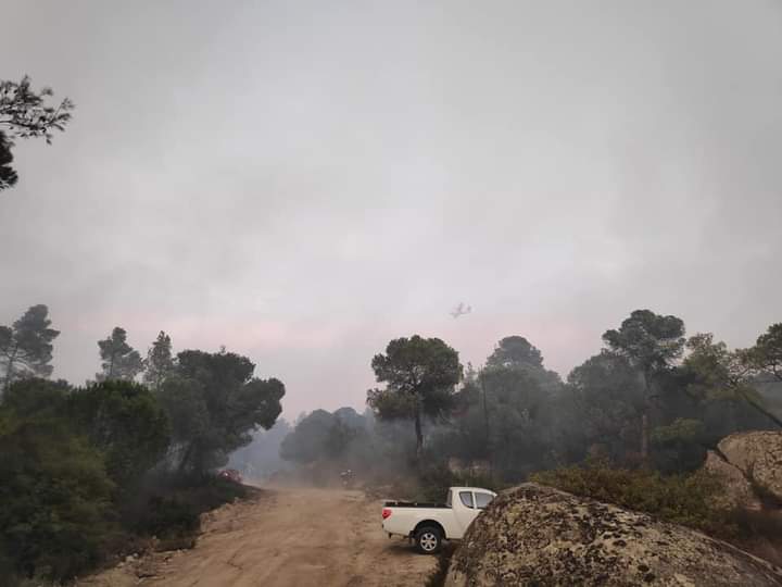 Φωτογραφικό υλικό από την πυρκαγιά στην Χαλκιδική