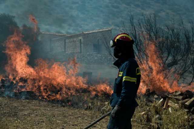 41 Δασικές πυρκαγιές εκδηλώθηκαν σε όλη την χώρα