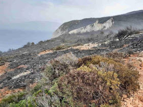 Σκηνικό θλίψης στη Ζάκυνθο: Καμένη όλη η περιοχή πάνω από το «Ναυάγιο» (ΒΙΝΤΕΟ)