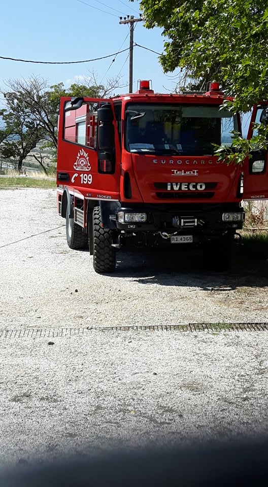 Η Πυροσβεστική Σιδηρόκαστρου Φροντίζει Τα Αδέσποτα Ζωάκια