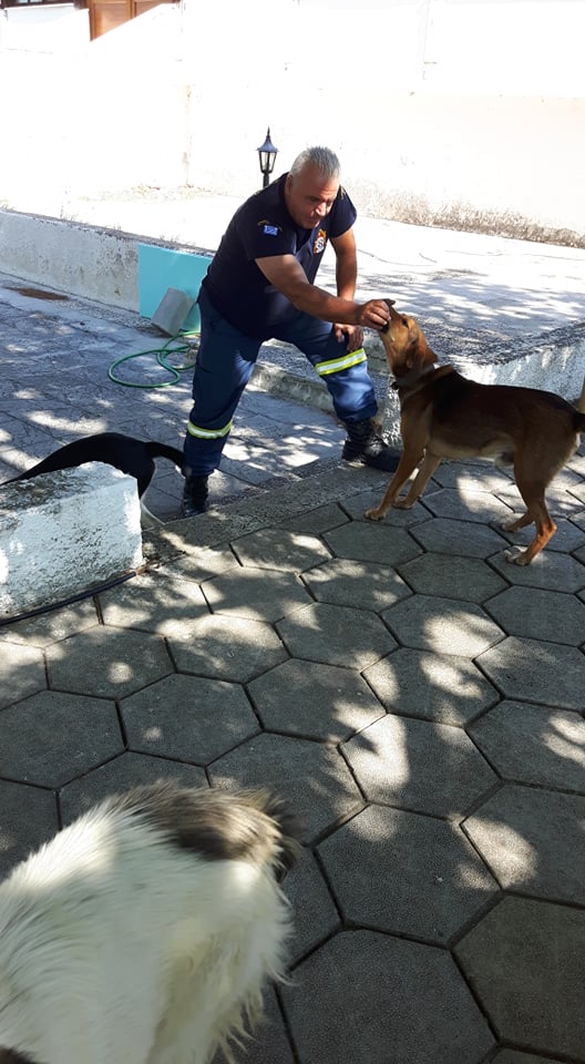 Η Πυροσβεστική Σιδηρόκαστρου Φροντίζει Τα Αδέσποτα Ζωάκια