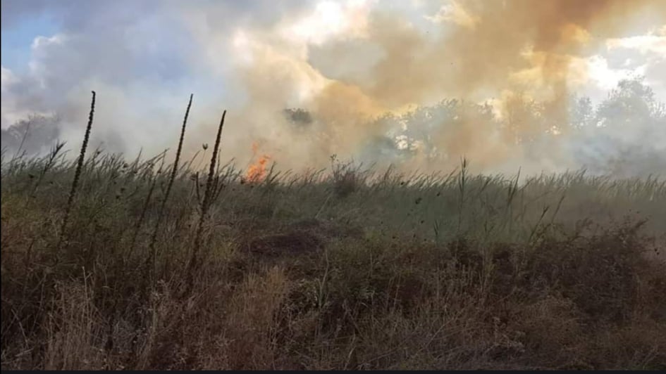 Πυρκαγιά στον κάμπο της Σάρτης στη Σιθωνία Χαλκιδικής (Βίντεο)
