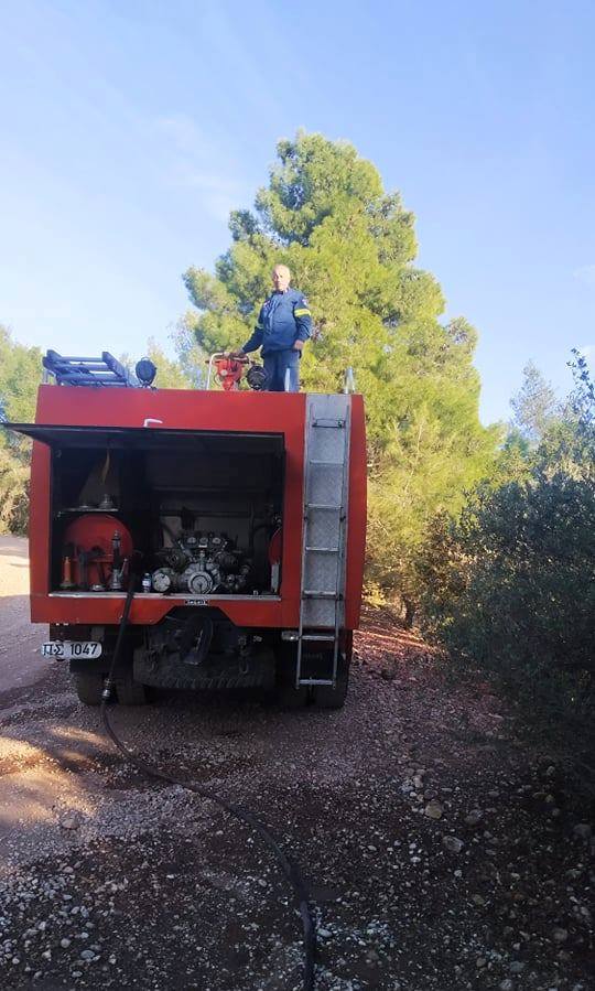 Πυρκαγιά στην Ελαία – Ισχυρές δυνάμεις στην κατάσβεση.(φώτο)