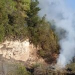 Πυρκαγιά στην Ελαία δύο στρέμματα πεύκα κάηκαν