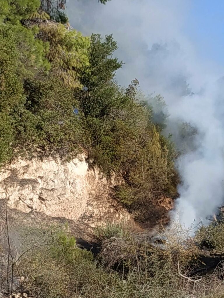 Πυρκαγιά στην Ελαία – Ισχυρές δυνάμεις στην κατάσβεση.(φώτο)