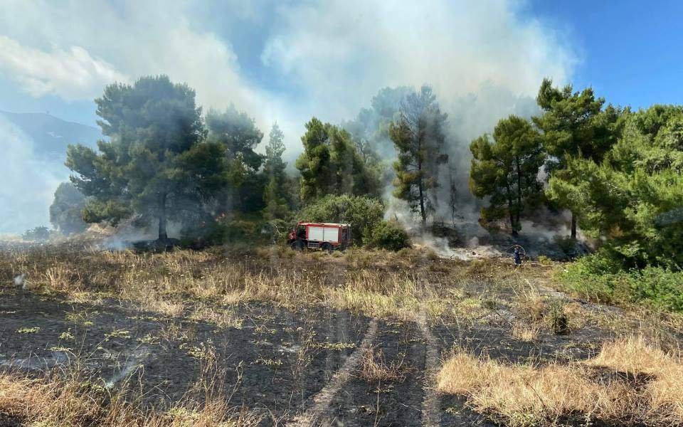 Πυρκαγιά σε δασική έκταση στην περιοχή Πευκενέα Μεγάρων Αττικής