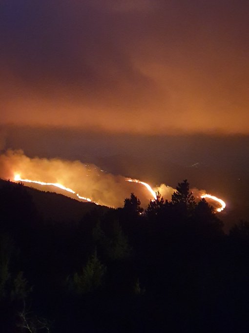 Αρκαδία: Σε εξέλιξη δασική πυρκαγιά στον Άγιο Πέτρο Κυνουρίας