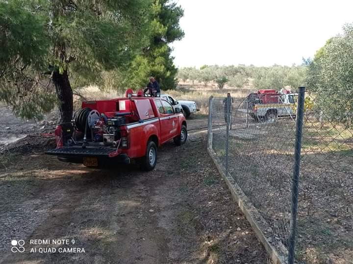 Πυρκαγιά στον Κάλαμο Αττικής.(φώτο)