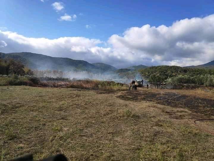 Φωτογραφικό υλικό από την πυρκαγιά στην Σάρτης Χαλκιδικής