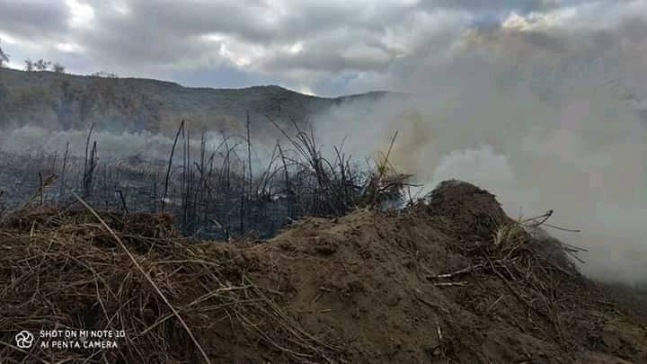 Φωτογραφικό υλικό από την πυρκαγιά στην Σάρτης Χαλκιδικής