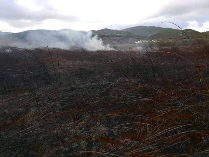 Φωτογραφικό υλικό από την πυρκαγιά στην Σάρτης Χαλκιδικής