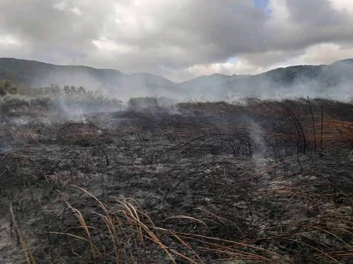 Φωτογραφικό υλικό από την πυρκαγιά στην Σάρτης Χαλκιδικής