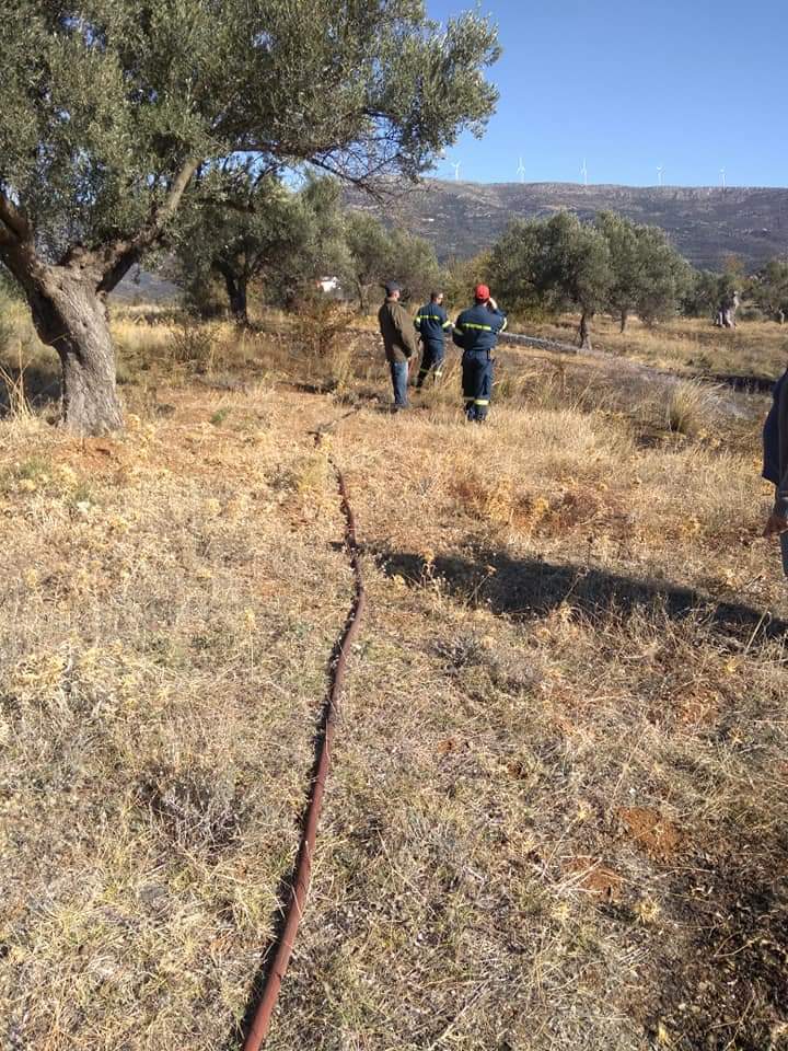 Πυρκαγιά εν υπαίθρω στην Χαλκίδα.(φωτο)