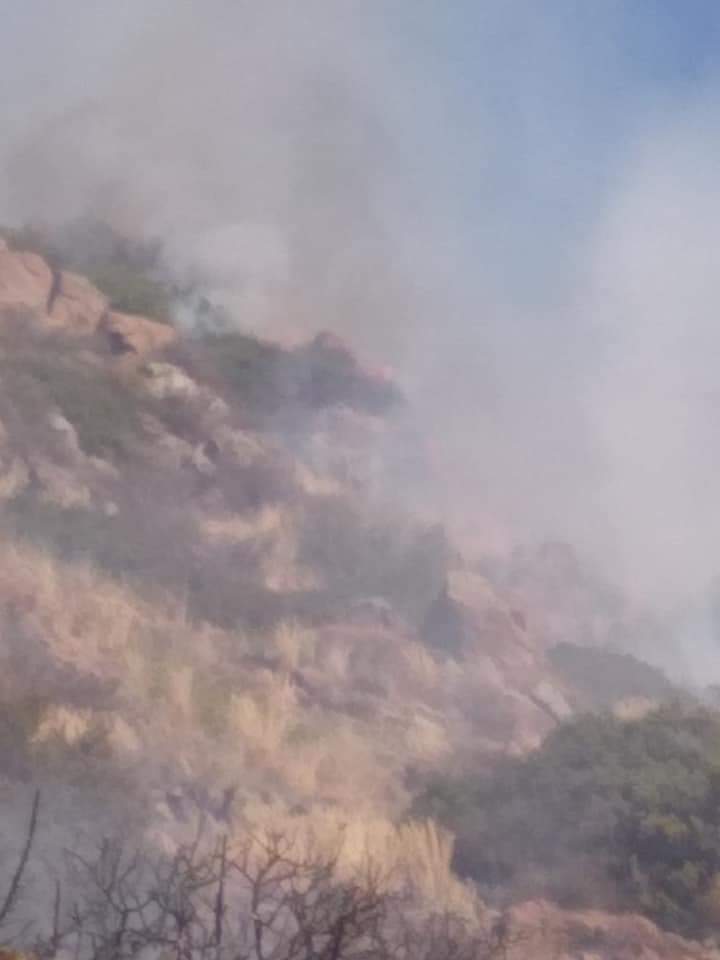 Η πυρκαγιά στην Αίγινα ξεκίνησε από ελεγχόμενη καύση.(φωτο)