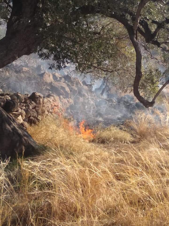 Η πυρκαγιά στην Αίγινα ξεκίνησε από ελεγχόμενη καύση.(φωτο)