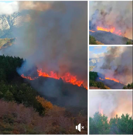 Μεγάλη πυρκαγιά ΤΩΡΑ στον Πάρνωνα Αρκαδίας