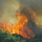 Πυροσβεστική: 36 δασικές πυρκαγιές το τελευταίο 24ωρο
