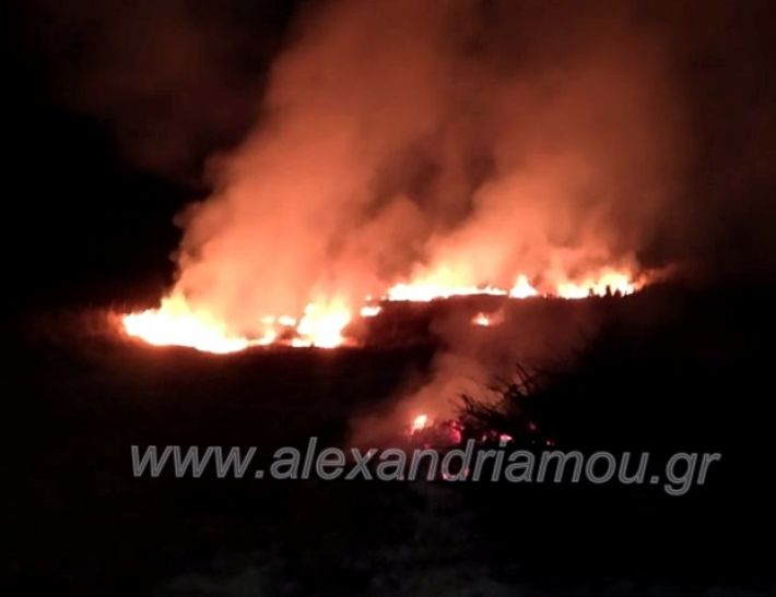 Πυρκαγιά στο παλιό γήπεδο Λουτρού.(φωτο-βιντεο)