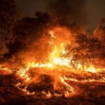 Πυροβεστική: 60 δασικές πυρκαγιές μέσα σε ένα 24ωρο